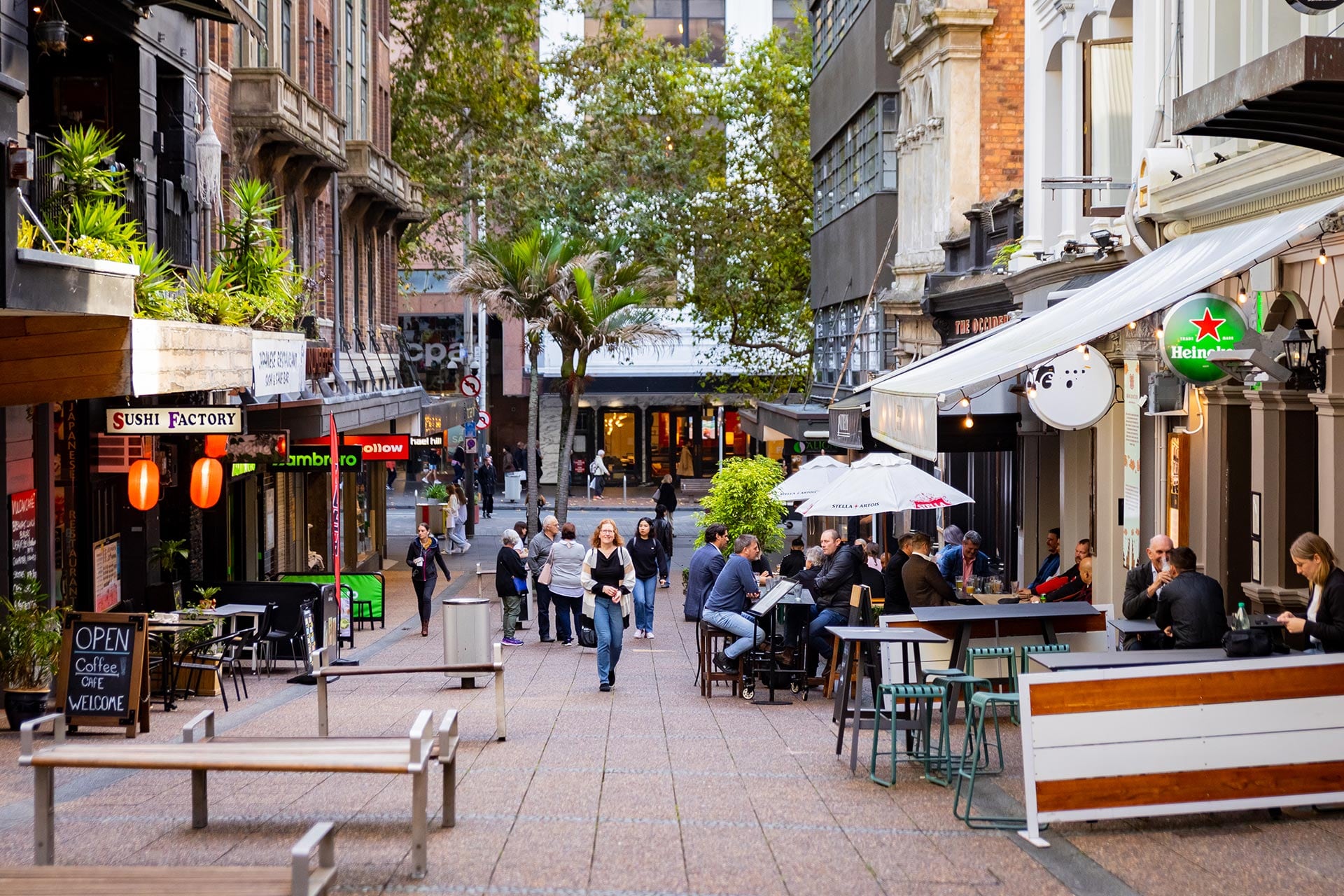 ShortTerm Rentals Auckland Zodiak